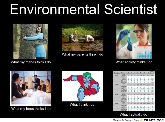 env sci